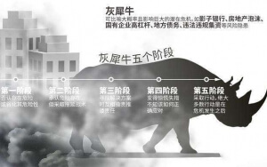 小心，中國產(chǎn)業(yè)園區(qū)的“灰犀?！庇謥砹?！